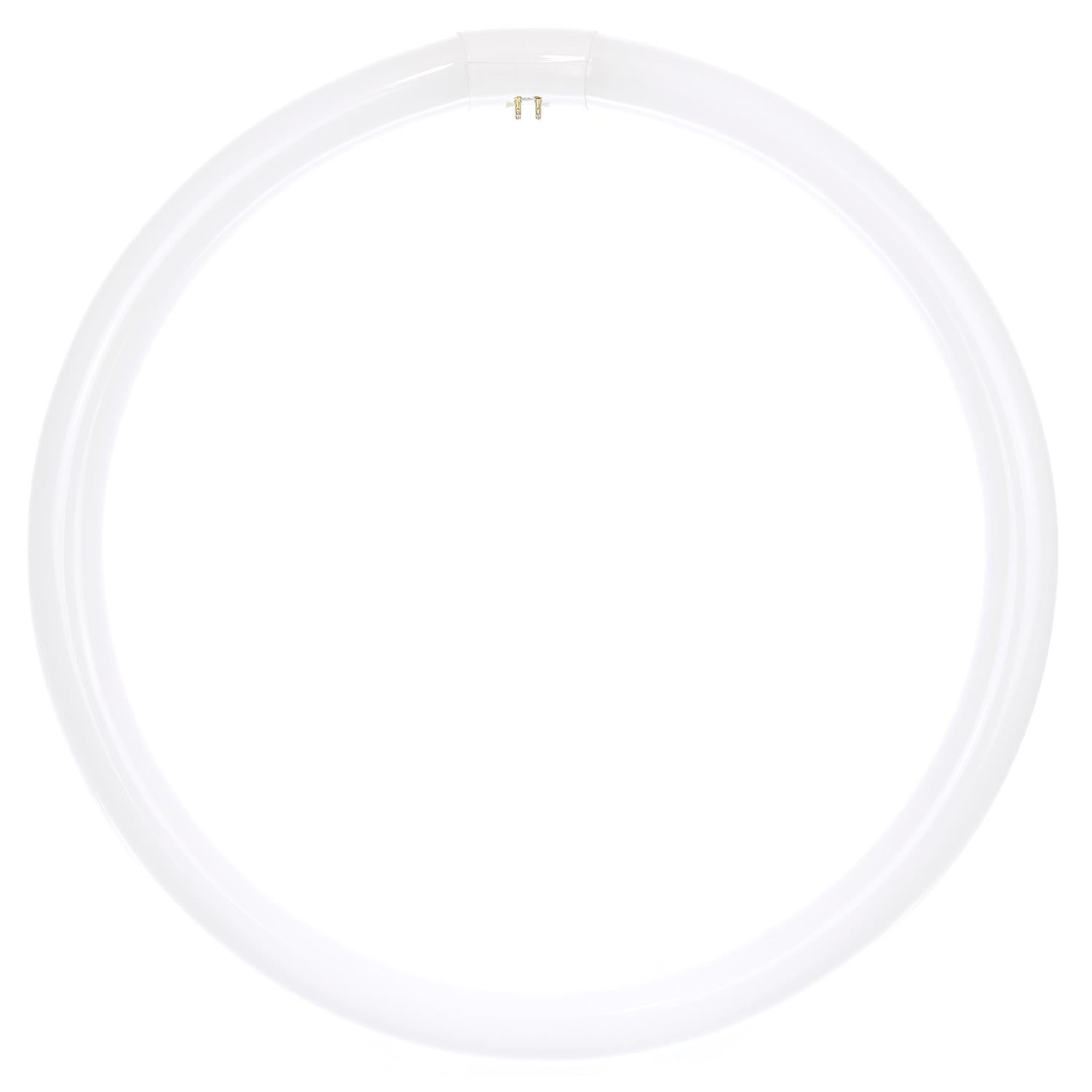 SUNLITE 40w G10q T9 4-Pin Circline Ceiling Lights 4000K Cool White Lamp