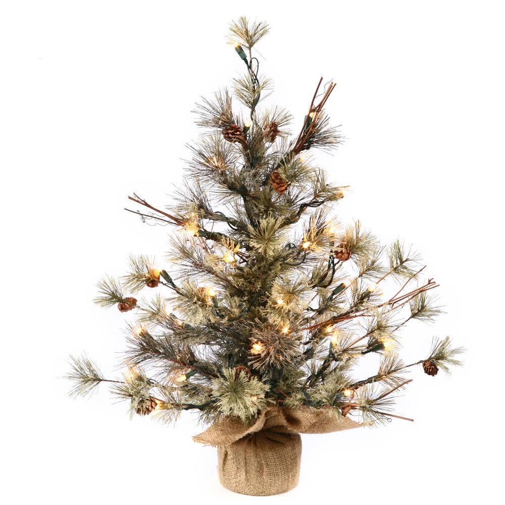 Vickerman 24" Dakota Pine Artificial Christmas Tree Cones Warm White LED Lights