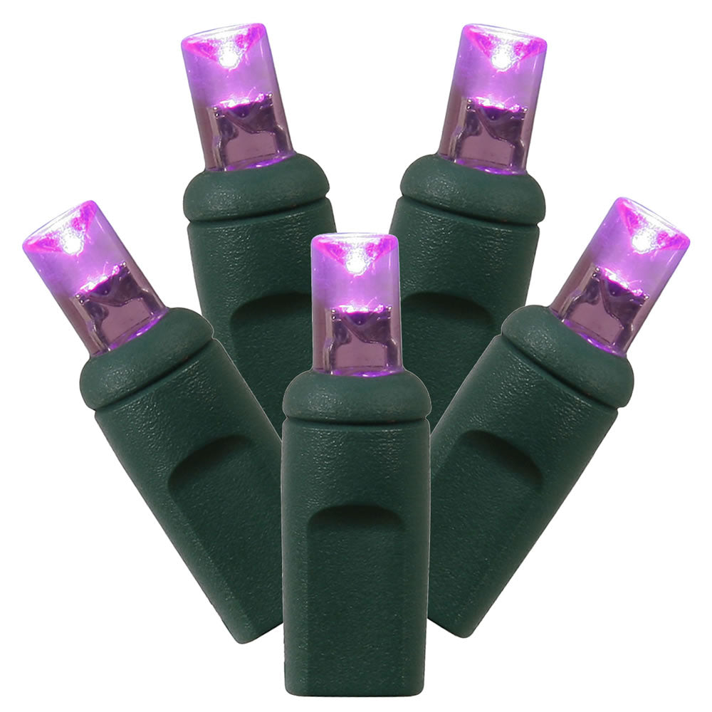 100Lt Purple LED / Green Wire WA EC Set 1Pc 6in. x50 ft.