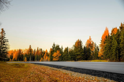 Faire des photos d'automne au téléphone