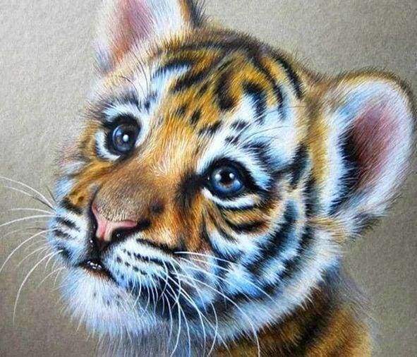 Diamond Painting Baby Tiger Usa Figuredart