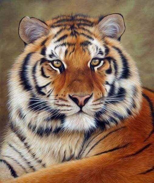 tiger eye painting