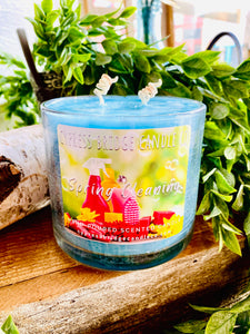 SPRING CLEANING 15+oz / 2-wick Jar Candle