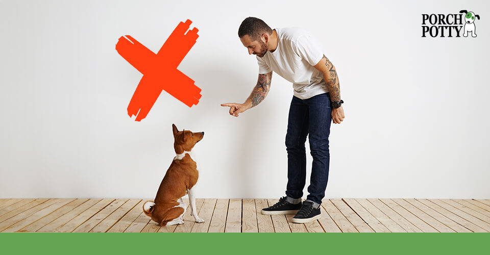 A copper dog sits and looks at its owner as he scolds the dog. A red x hovers over to discourage this.