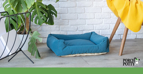 A dog bed sits in a corner by a table and a potted plant