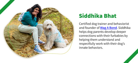 Siddhika Bhat, certified dog trainer