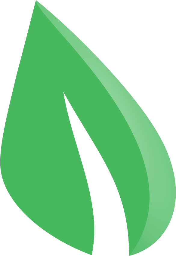 green leaf icon