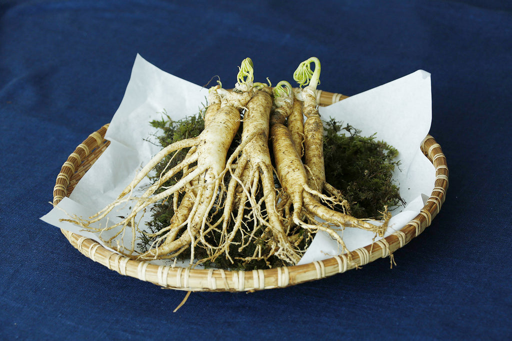 Adaptogens for resilience