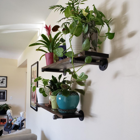 PIPE DECOR Shelf used as a Plant Stand