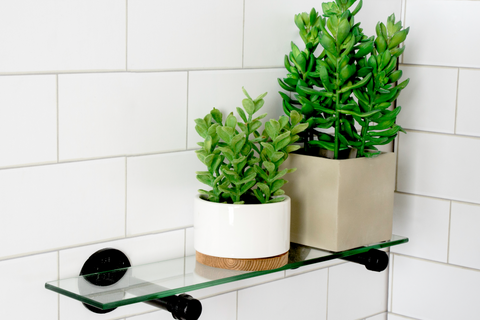 PIPE DECOR® Shelf/Plant Holder