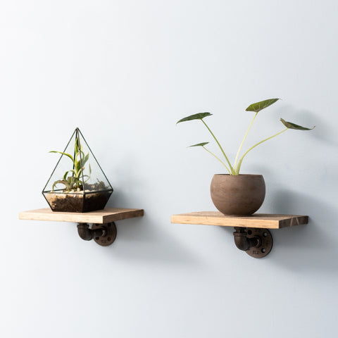Image of two rustic pipe shelves on a grey wall displaying plants; one holds a terrarium and the other a simple potted plant, perfect for Mother's Day decor.