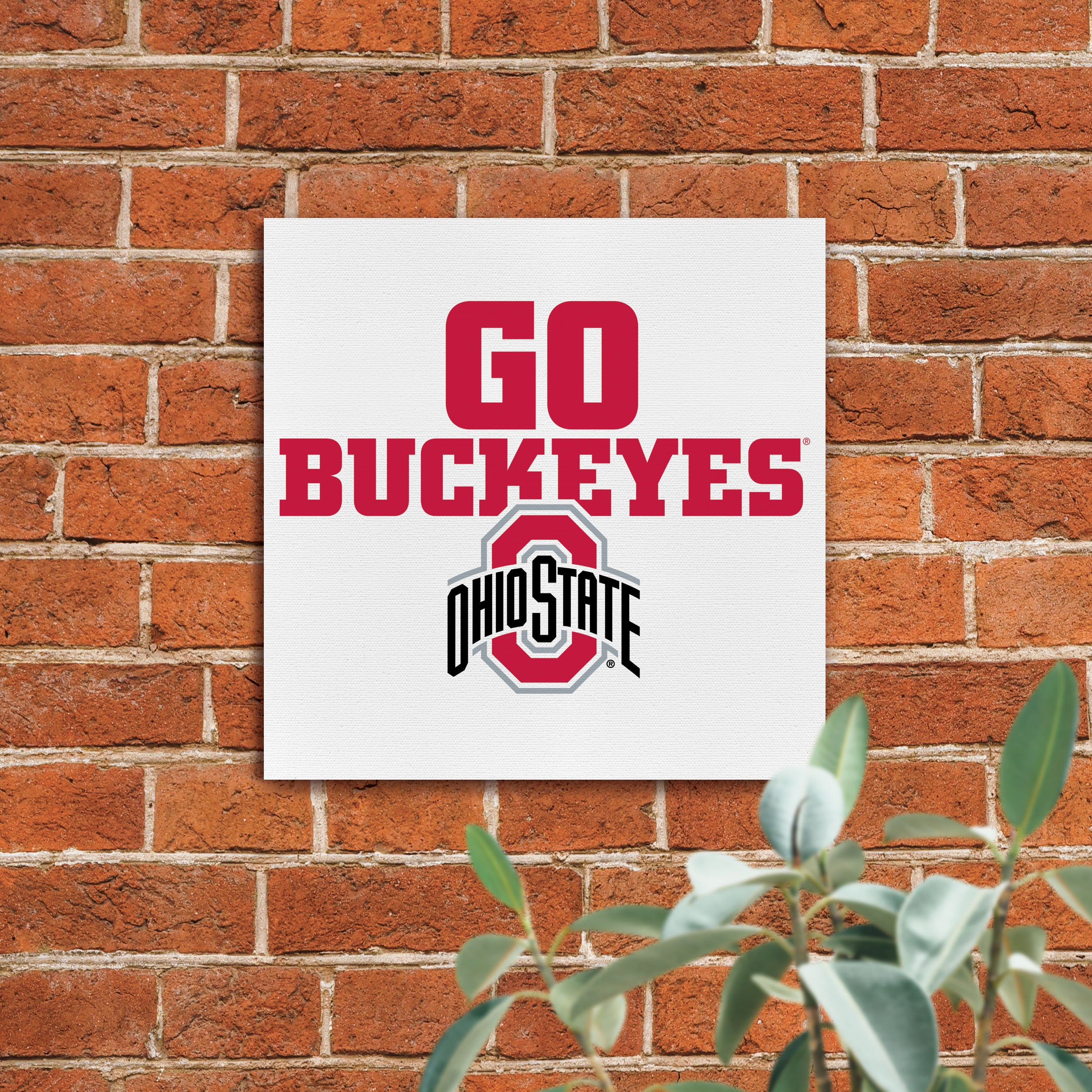 P. Graham Dunn Ohio State University Buckeyes Logo 11 x 11 Canvas  Decorative Art Sign