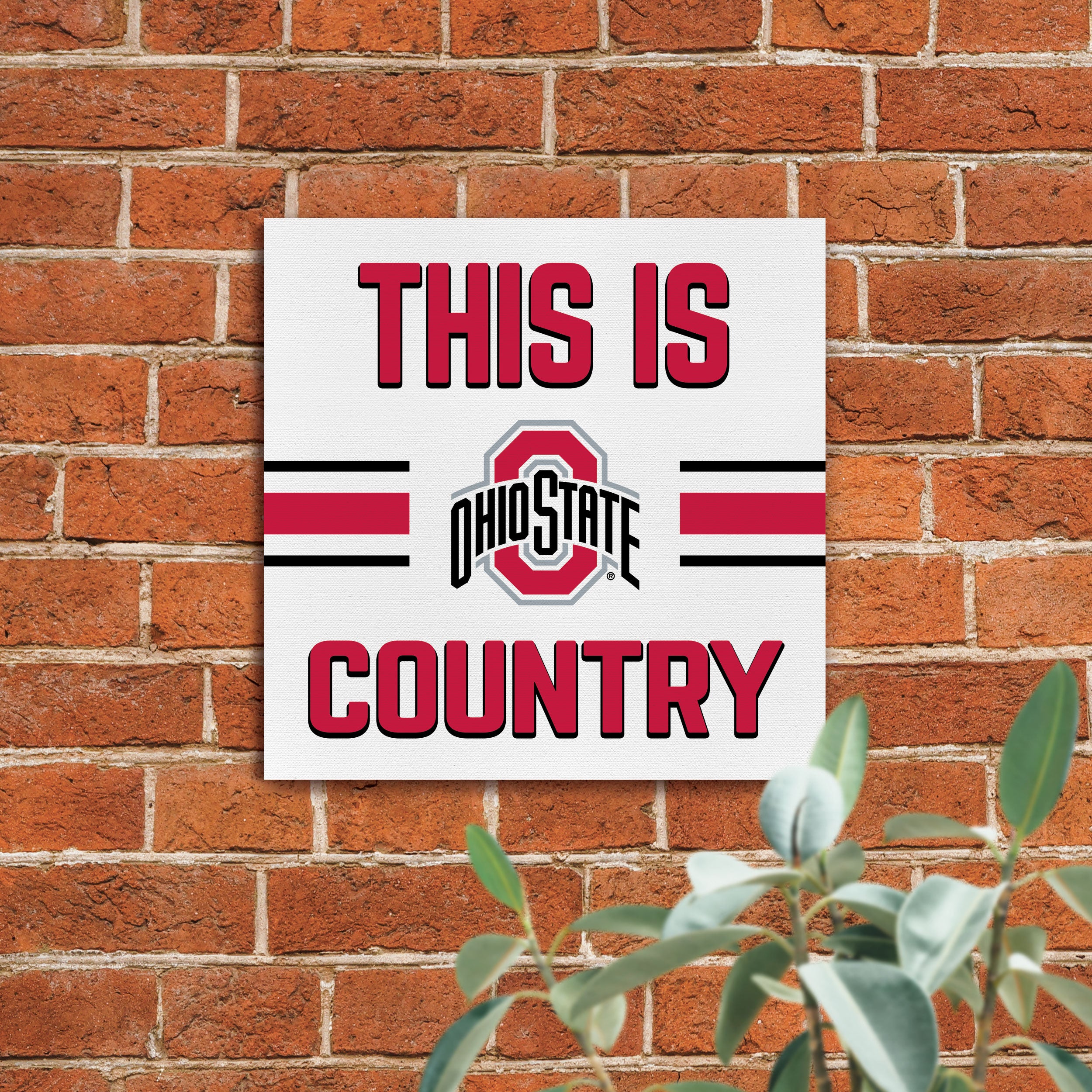 P. Graham Dunn Ohio State University Buckeyes Logo 11 x 11 Canvas  Decorative Art Sign