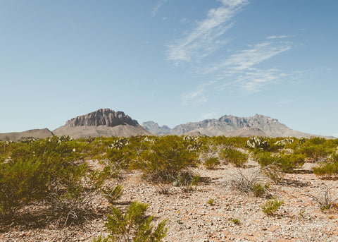 A view of the Chisos Mountains from the east with the Chihuahuan Desert all around.