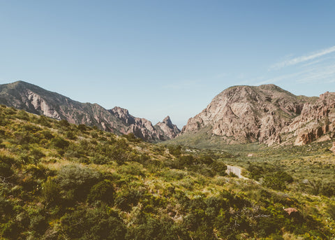 A view of the Chisos Mountains facing west towards The Window.