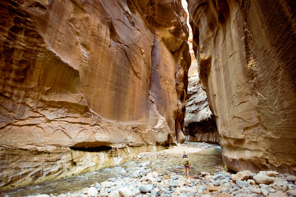 hikers in Zion National Park, hiking through The Narrows 