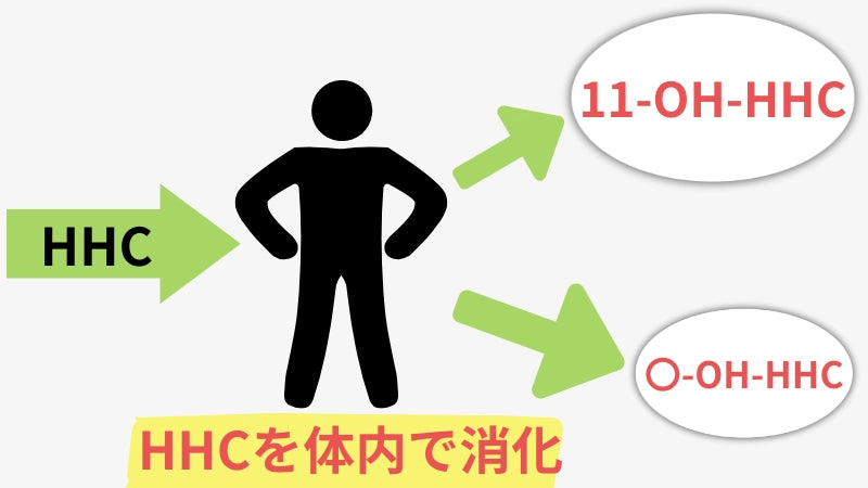 10-OH-HHCの成分の説明