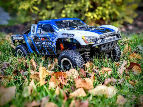 Véhicule de course traxxas dans un champ de fleurs 