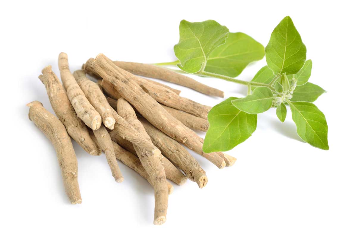 ASHWAGANDHA