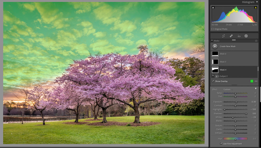 Cherry Blossom Grad Filter edit