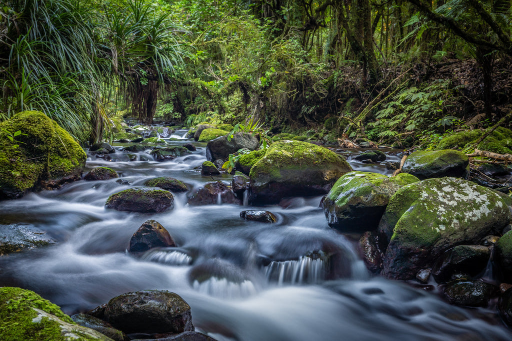 Kase Filters River Long Exposure