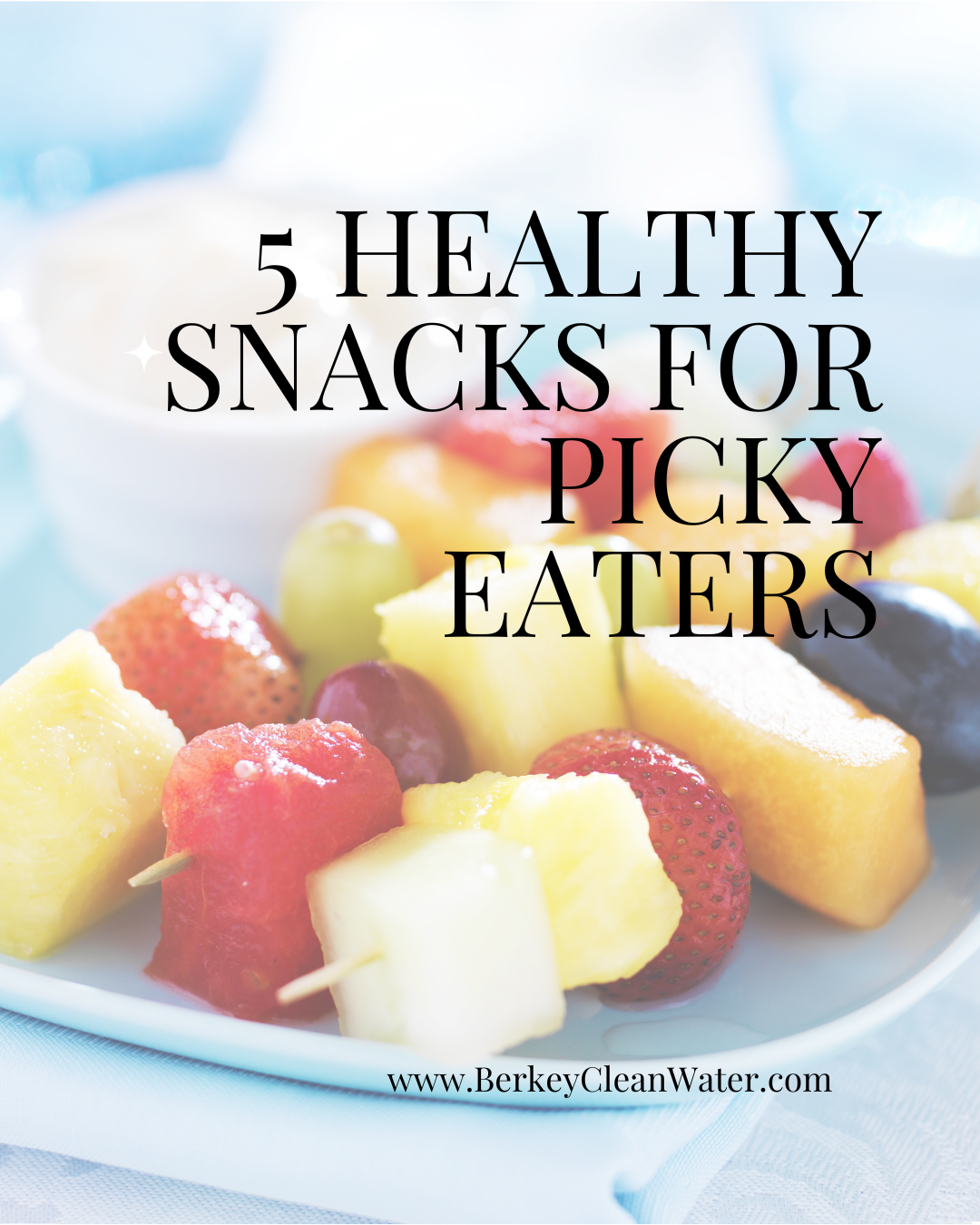 5 Healthy Snacks For Picky Eaters