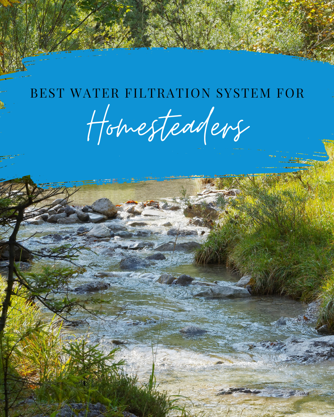 Best Homestead Water Filtration System