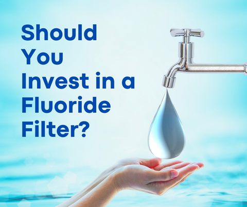 Should You Invest in a Fluoride Filter?