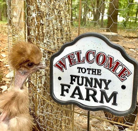 Funny Farm Family Homestead