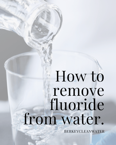 How To Remove Fluoride From Water