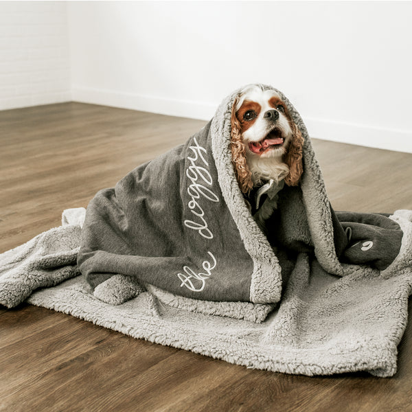 Cavalier King Charles Spaniel snuggling in a "The Doggy Snuggle is Real" blanket.