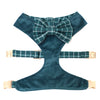 Teal velvet dog harness with plaid bow tie.