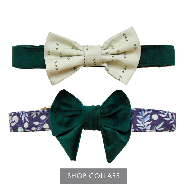 Shop Collars - Green Velvet dog collar with light green print dog bow tie and navy floral print dog collar with dark green velvet dog bow tie.