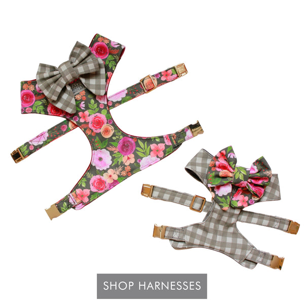 Shop Harnesses - Floral print dog harness with gray check dog bow and gray check dog harness with floral print dog bow