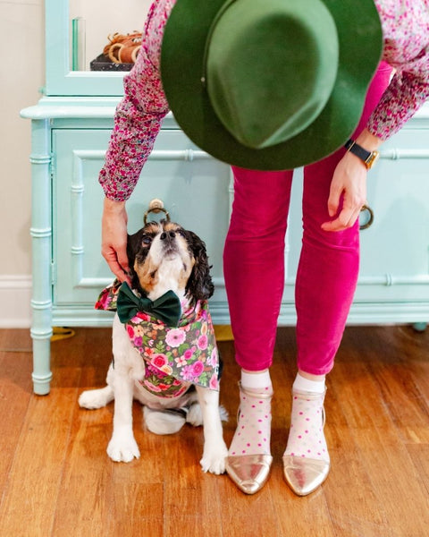 4 WAYS TO SPOIL YOUR PUP THIS VALENTINE'S DAY