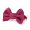 Wine velvet dog collar with bow tie