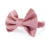 Blush pink velvet dog collar with bow tie