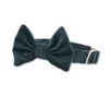 Velvet Evergreen Classic Dog Collar + Bow Tie