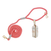 Spiced Coral Leash + Waste Bag Holder