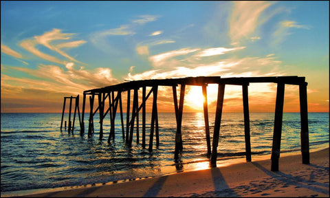 Camp Helen State Park Florida