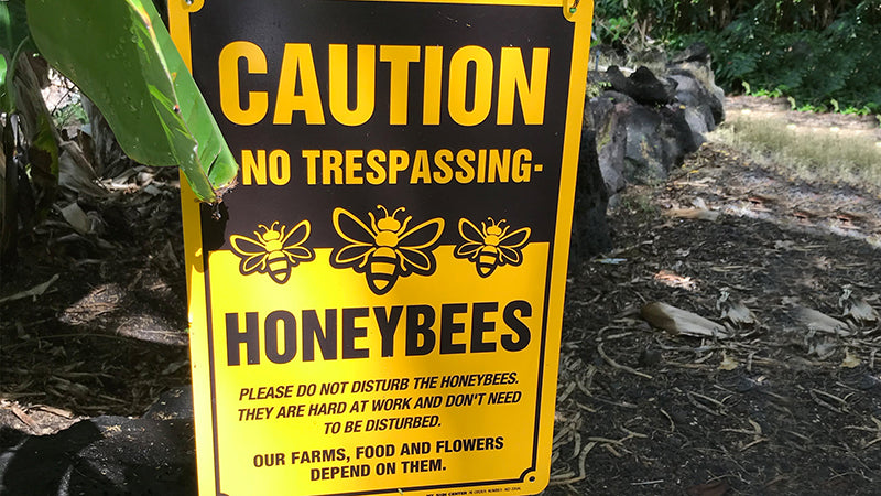 caution honeybees sign