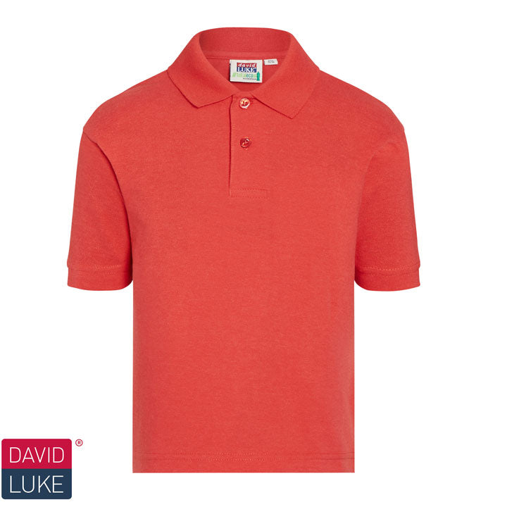 david 2 polo t-shirt