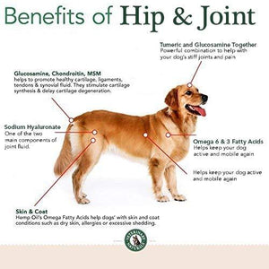 how to help my dogs stiff joints