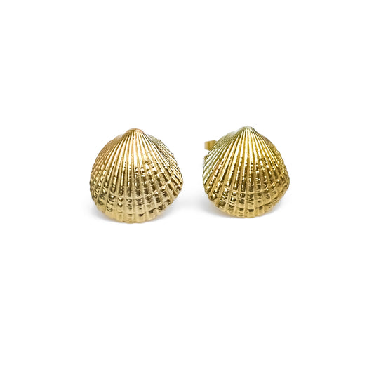 Gold Queen Scallop Shell Stud Earrings – Element Isle