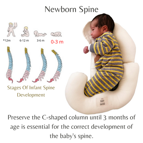 Columna vertebral de bebé, columna vertebral de recién nacido. la mejor posición para bebés de hasta 3 meses.