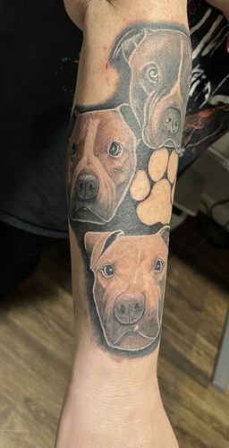 pet portrait forearm tattoo