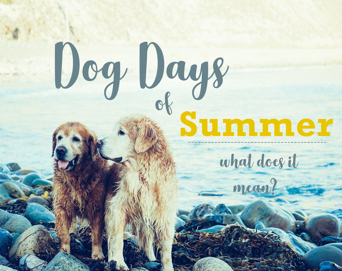 Dog Days of Summer...What Does it Mean? – Dope on a Rope Soap