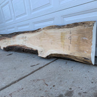 Honey Locust Wood Slab #1185 Sawmill, mill, lumber, live edge slabs, mantles, floating shelves, wood, logs, log buyer