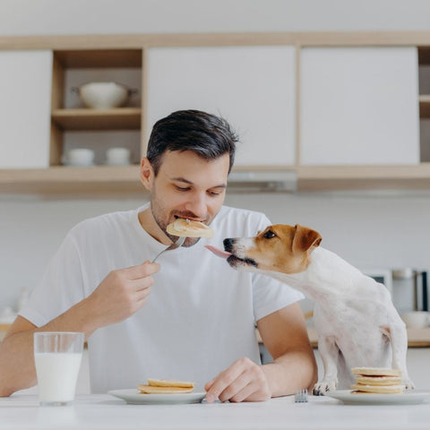 7 Essential Tips Of Being A Best Dog Dad Ever