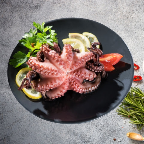 Octopus-Squid